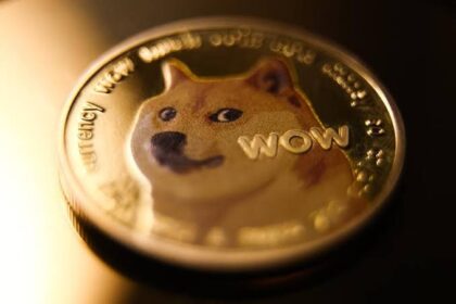 Dogecoin coin with gold texture representing cryptocurrency and government savings discussion.